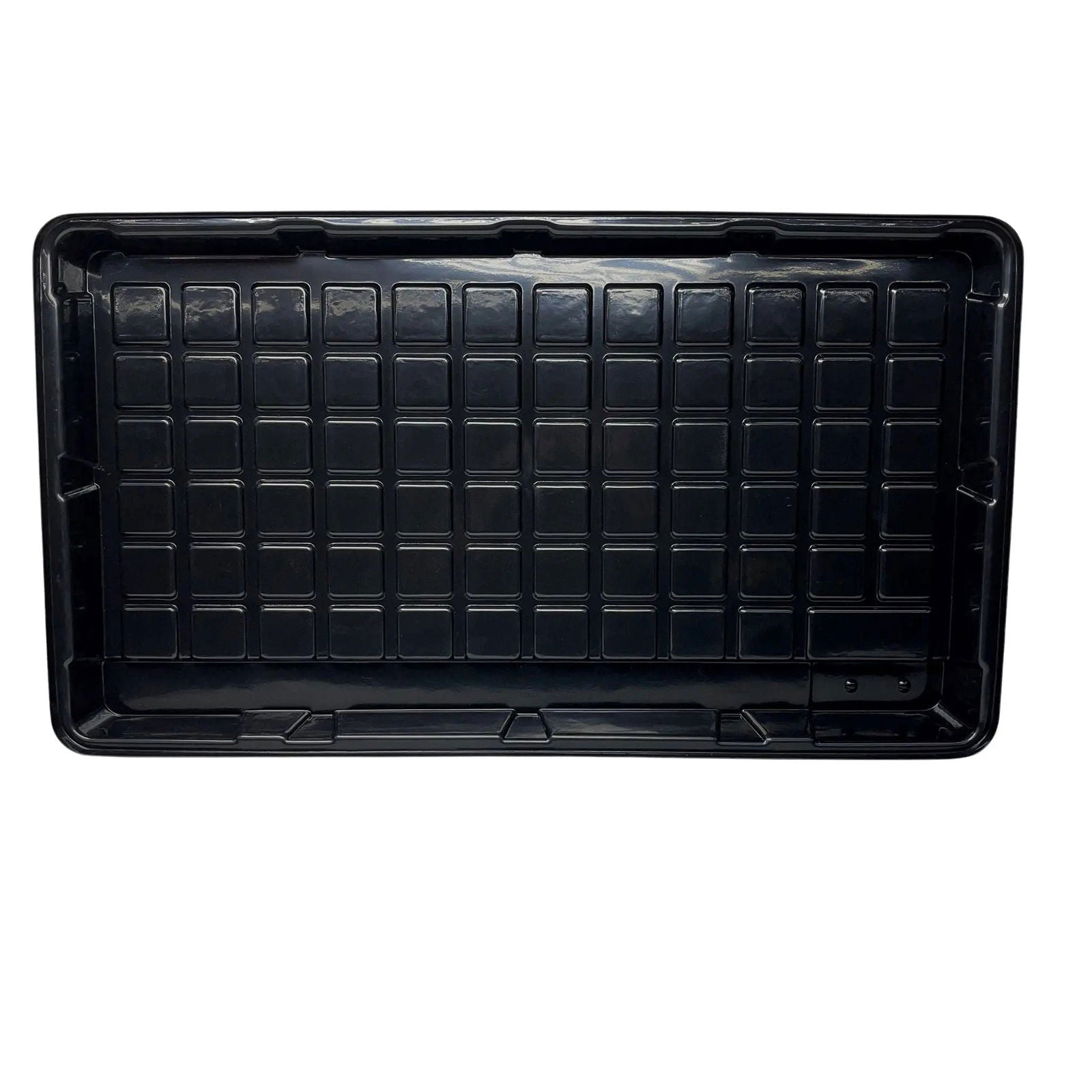 Bootstrap Farmer Grow Rack Flood Trays for hydroponic systems, shallow water 2' x 4' grow rack and tray setup.