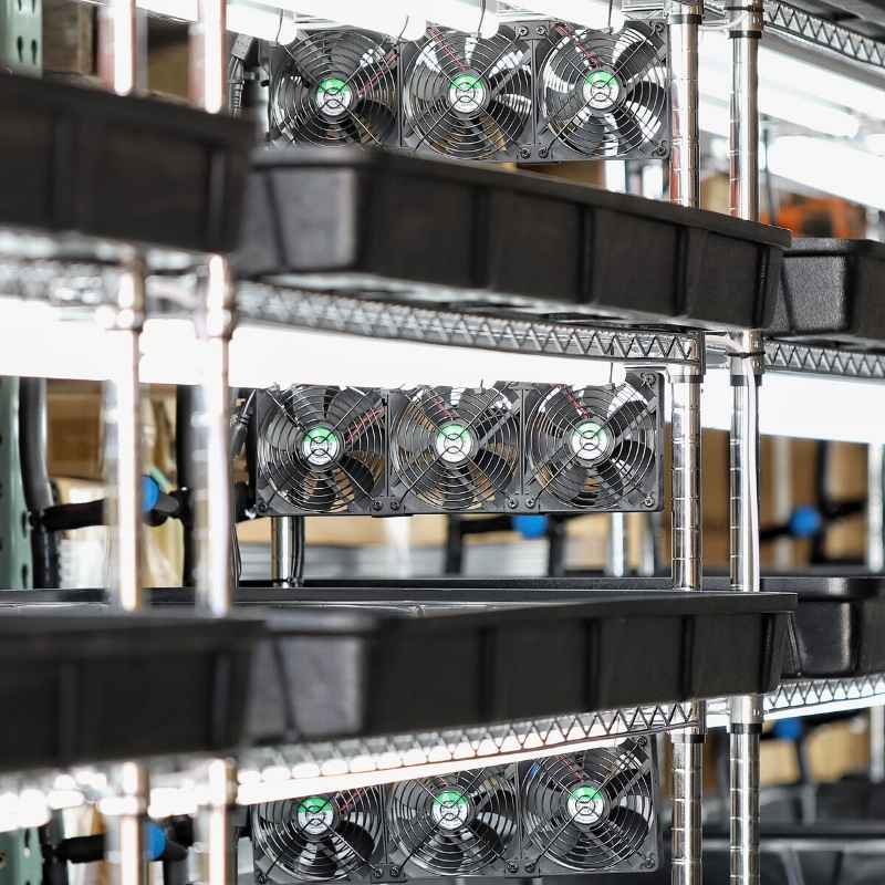 Bootstrap Farmer 3-tier automated vertical grow rack for hydroponic propagation, featuring multiple shelves for plant propagation.