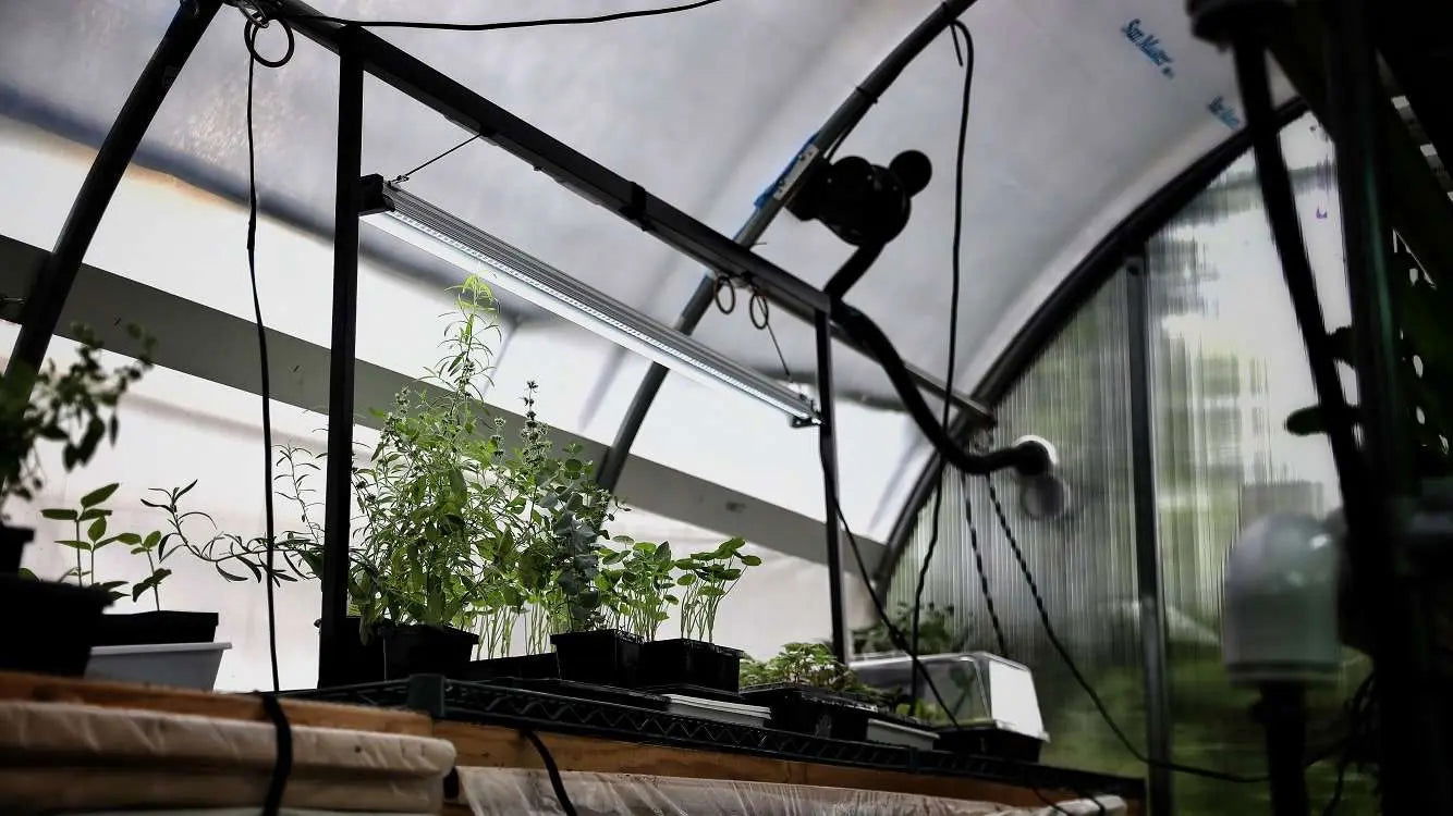 Bootstrap Farmer 48-inch LED Strip Grow Lights, energy-efficient LED grow lights for indoor gardening and plant growth.