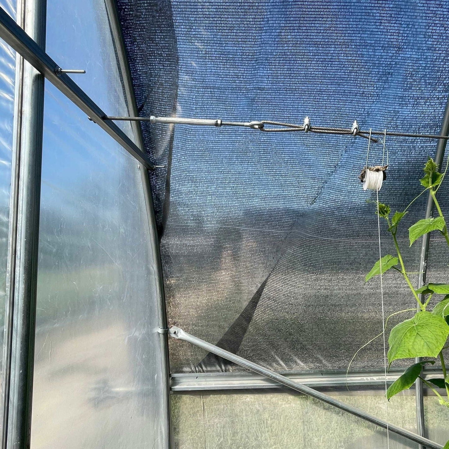 Complete Bootstrap Farmer trellising system for plant supports, featuring durable stakes and grid for gardening and crop support.