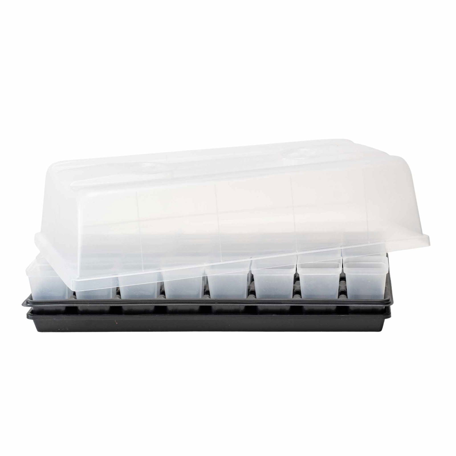 Set of Bootstrap Farmer propagation pots for cuttings and seedlings, ideal for gardening and plant propagation.
