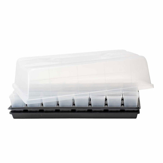 Set of Bootstrap Farmer propagation pots for cuttings and seedlings, ideal for gardening and plant propagation.