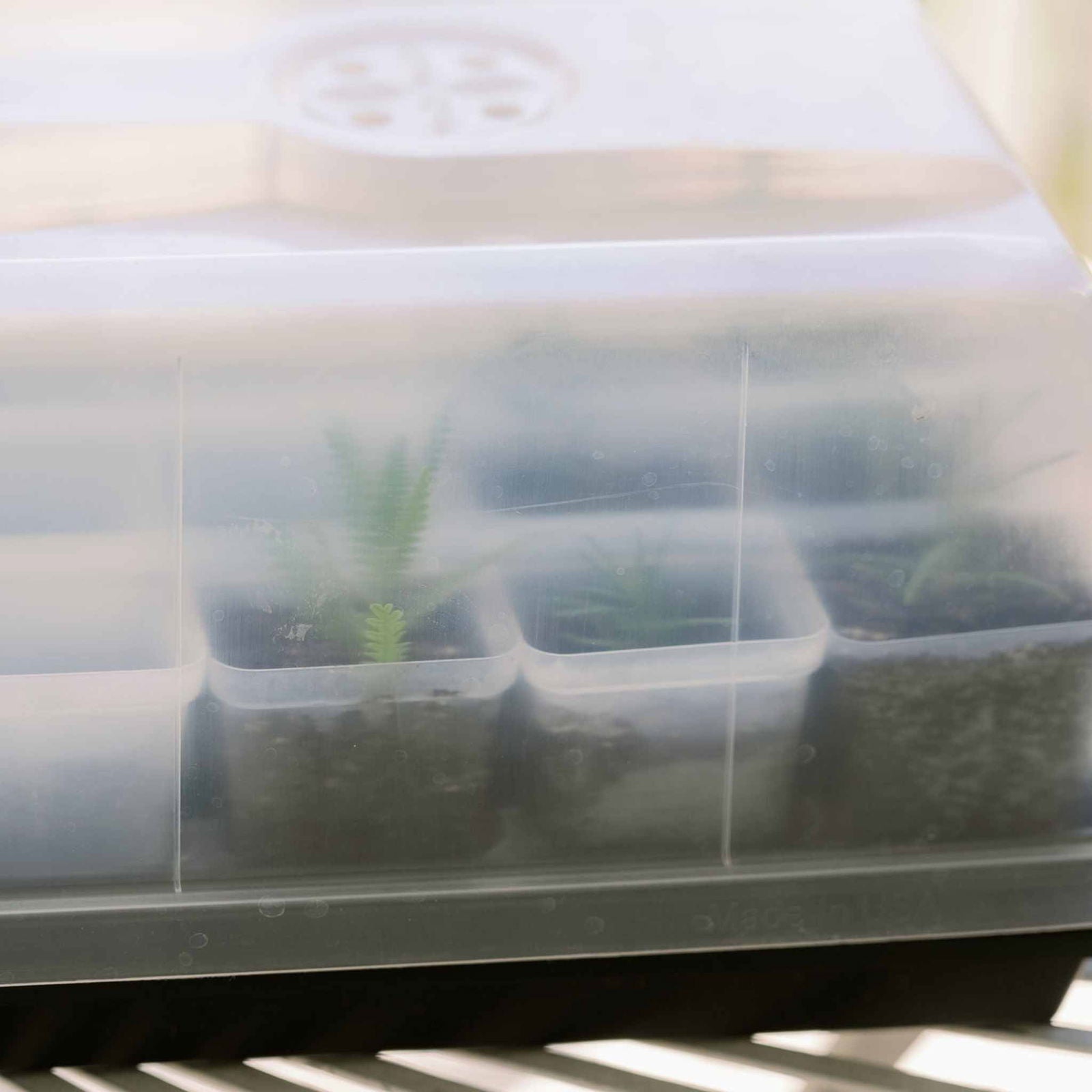 Bootstrap Farmer propagation kit with multiple pots for cuttings and seedlings, ideal for starting plants indoors or outdoors.