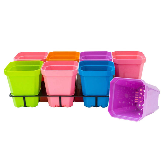 Set of 40 multicolor 5-inch reusable seed starting pots with inserts from Bootstrap Farmer, ideal for gardening and plant propagation.