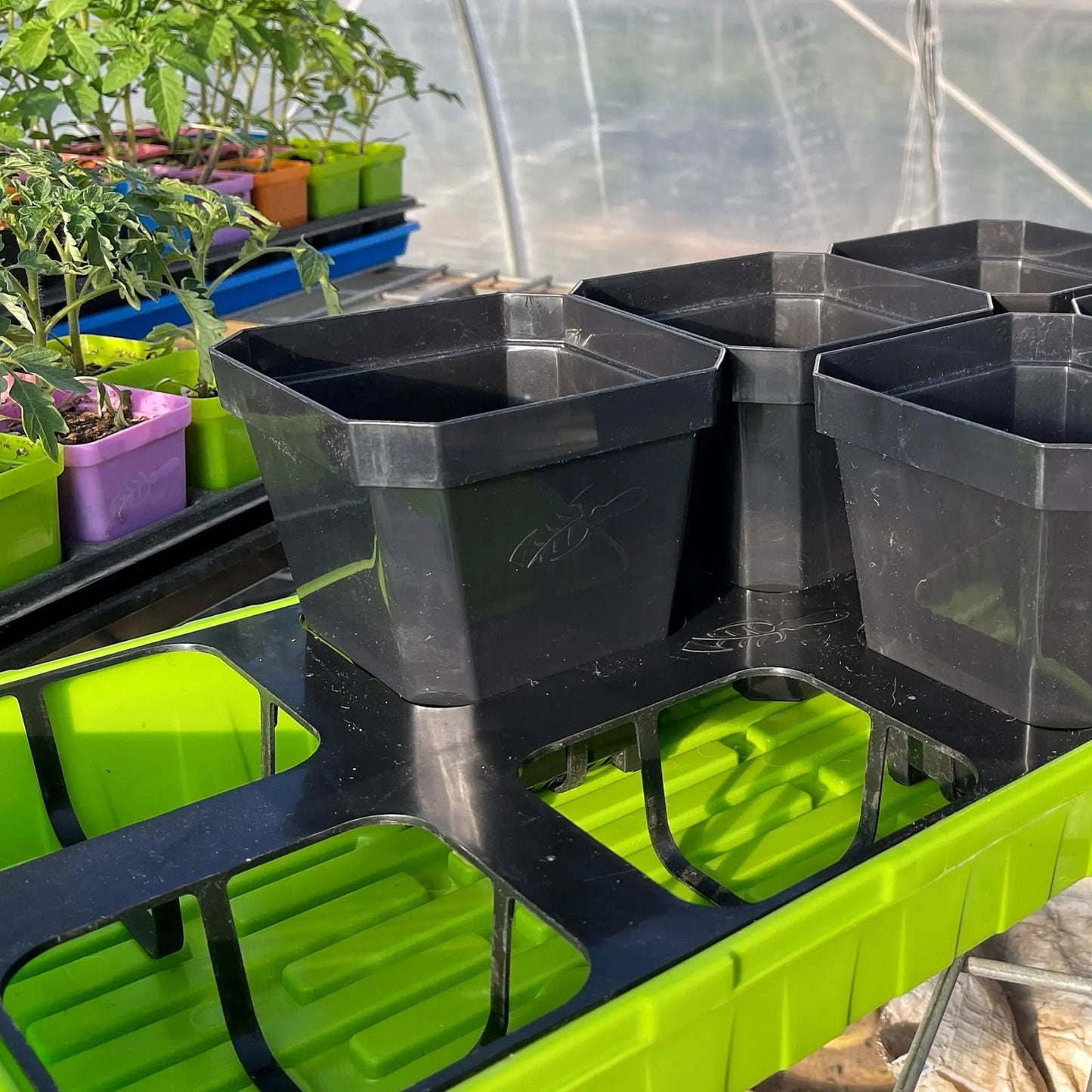 Multicolor 5-inch reusable seed starting pots with inserts by Bootstrap Farmer, ideal for planting and seed propagation