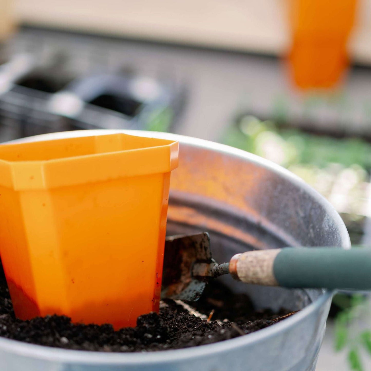 Set of eight multicolored 5-inch heavy-duty seed starting pots by Bootstrap Farmer, durable containers for gardening and plant propagation.