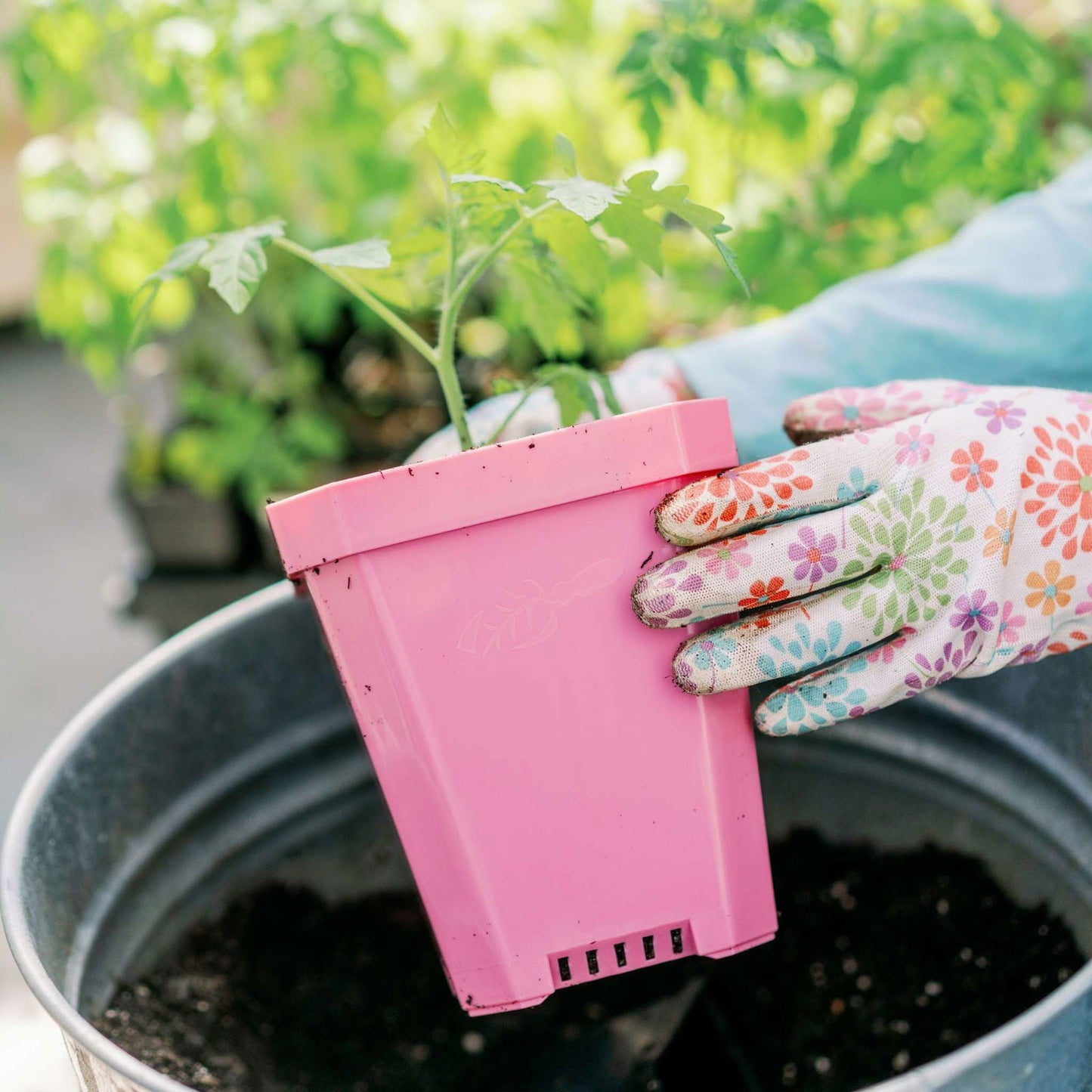 Set of eight multicolor 5-inch heavy-duty seed starting pots by Bootstrap Farmer, durable plastic pots for seedlings.