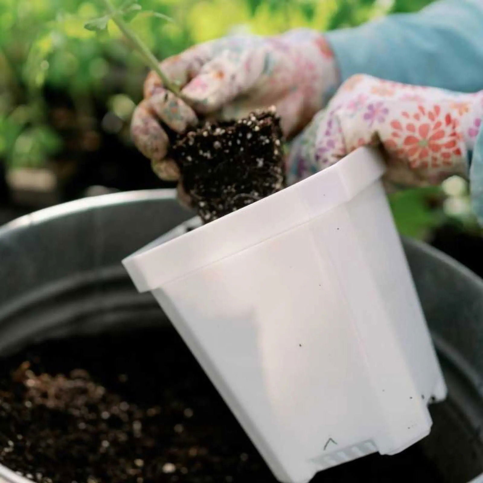 Set of eight multicolor 5-inch heavy-duty seed starting pots by Bootstrap Farmer, durable plastic containers for planting seedlings.