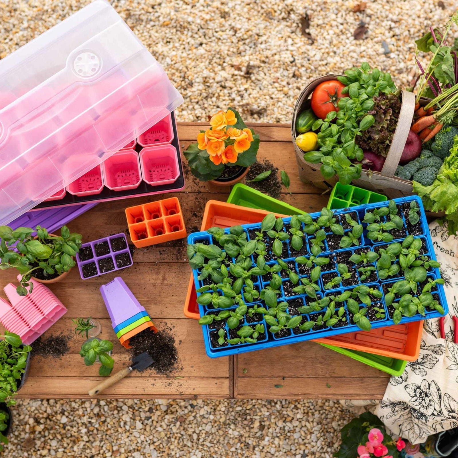 Colorful Bootstrap Farmer pots with humidity domes from the Ultimate Backyard Gardener Bundle, ideal for starting garden seedlings.