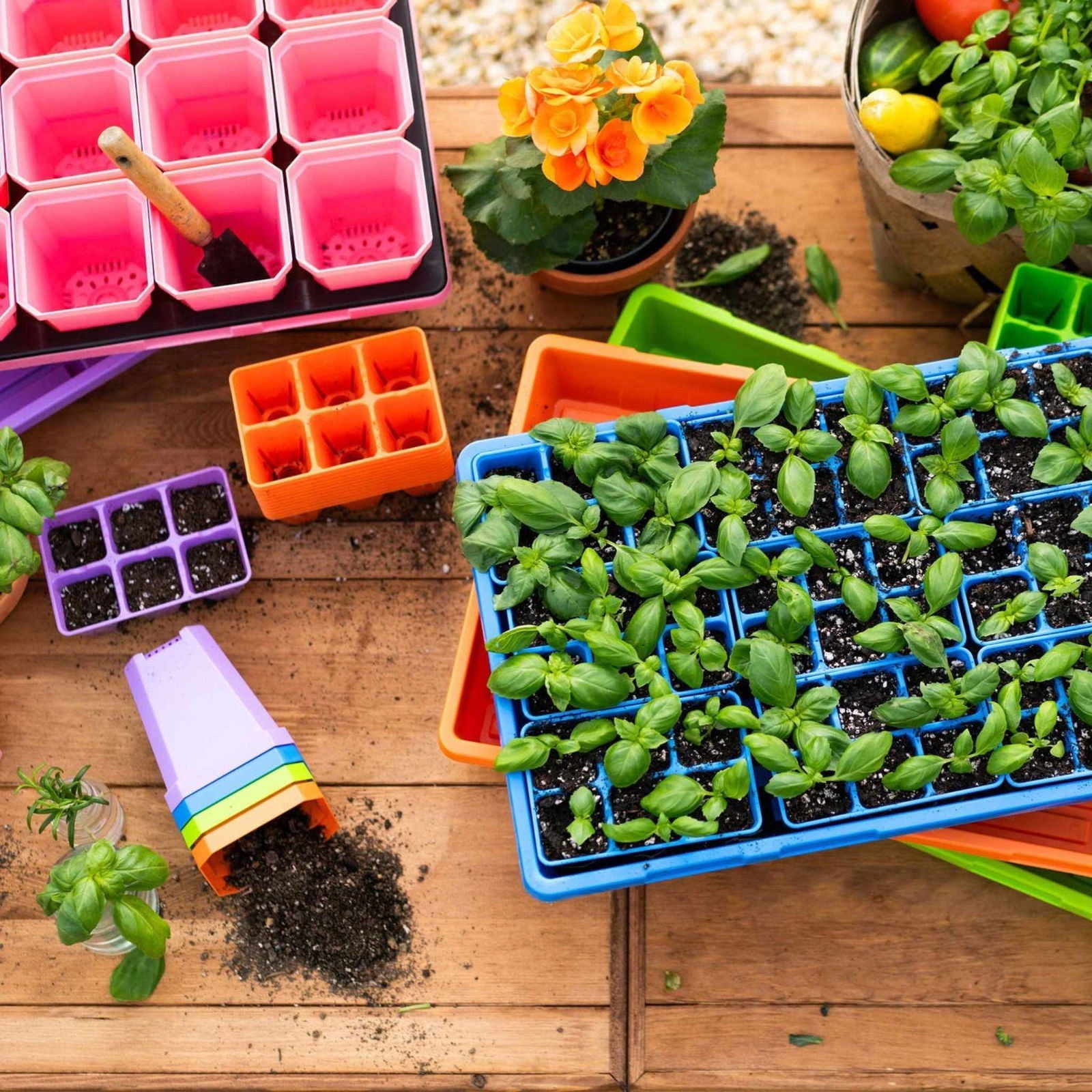 Set of Bootstrap Farmer pots with colorful humidity domes from the Ultimate Backyard Gardener Bundle, ideal for gardening projects.