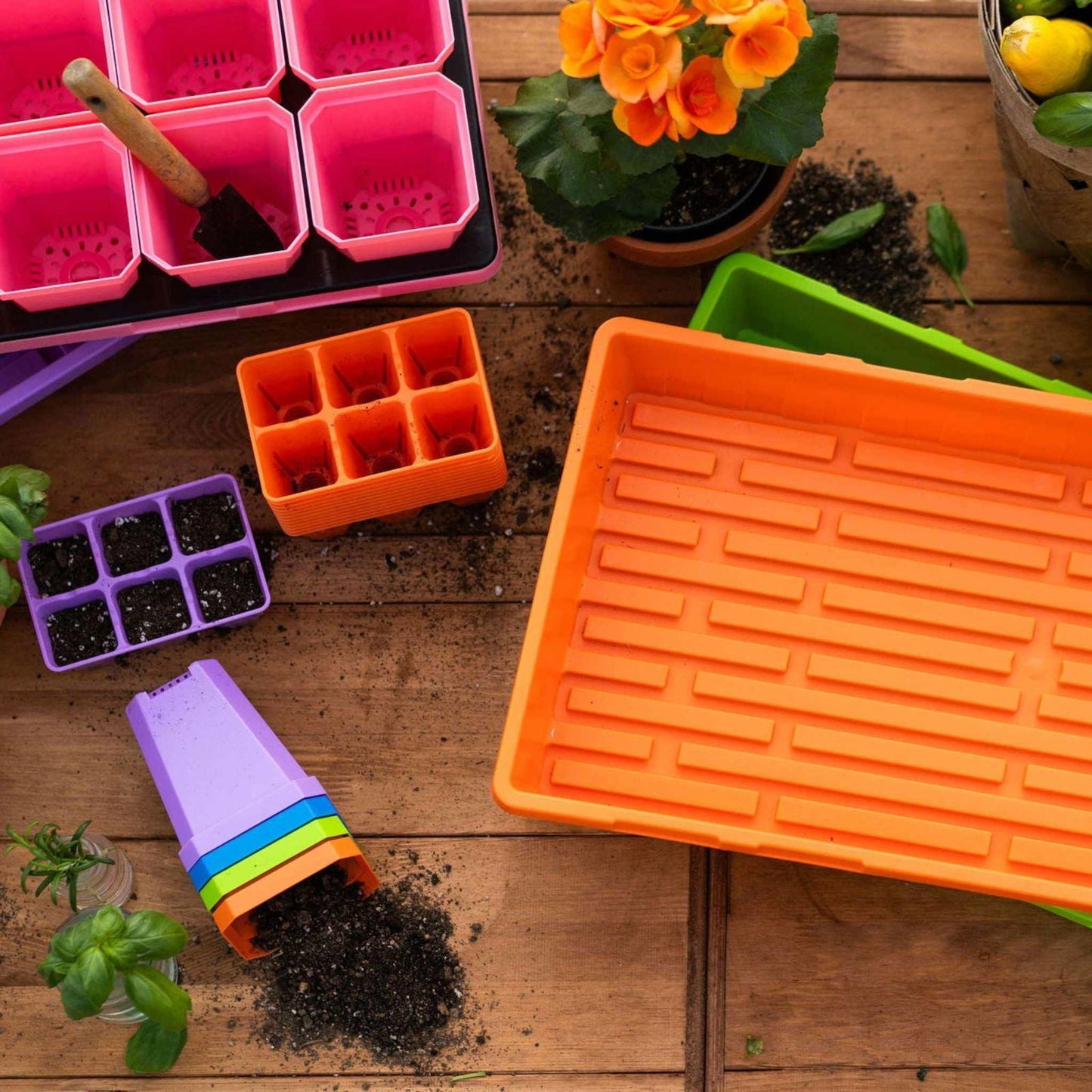Colorful Bootstrap Farmer pots with humidity domes in the Ultimate Backyard Gardener Bundle for starting and nurturing plants.