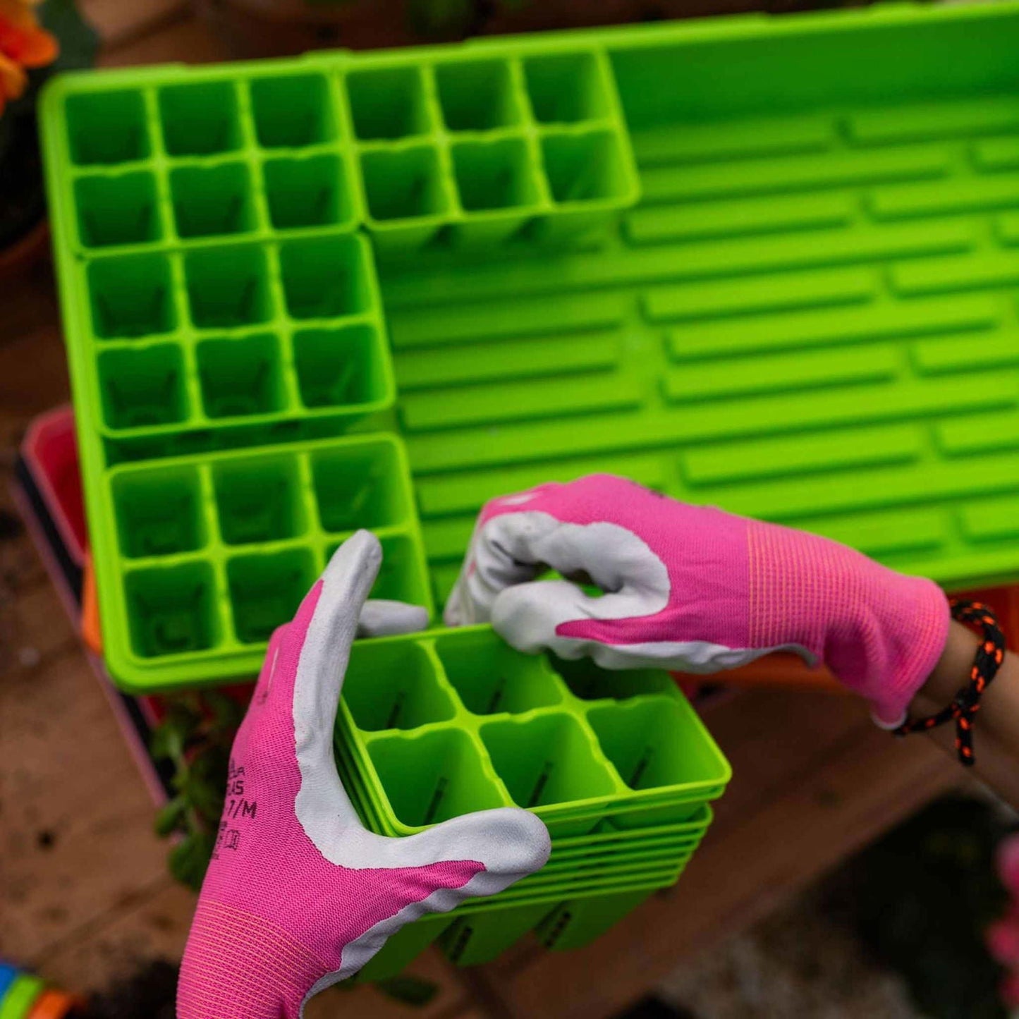 Colorful Bootstrap Farmer pots with humidity domes from the Ultimate Backyard Gardener Bundle, ideal for seed starting and plant propagation.