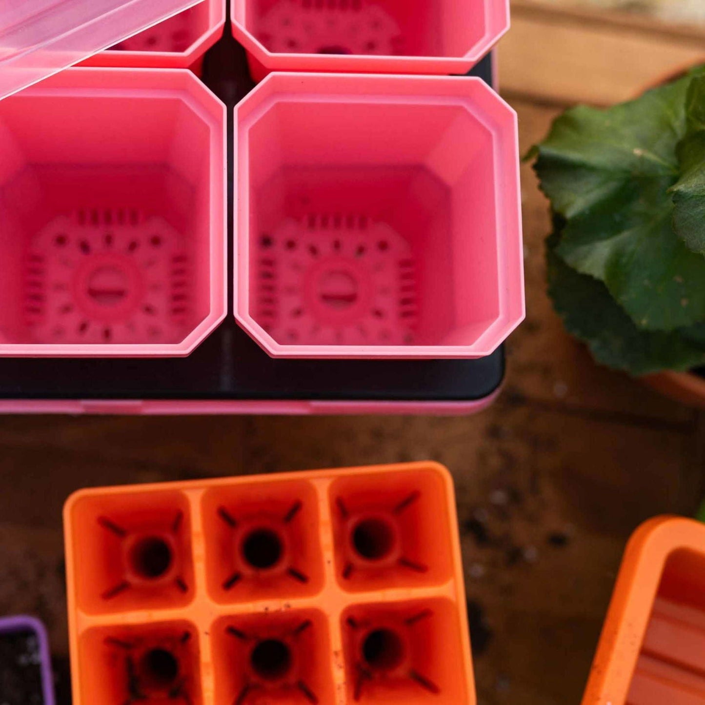 Colorful Bootstrap Farmer pots with humidity domes from the Ultimate Backyard Gardener Bundle, ideal for indoor and outdoor gardening.