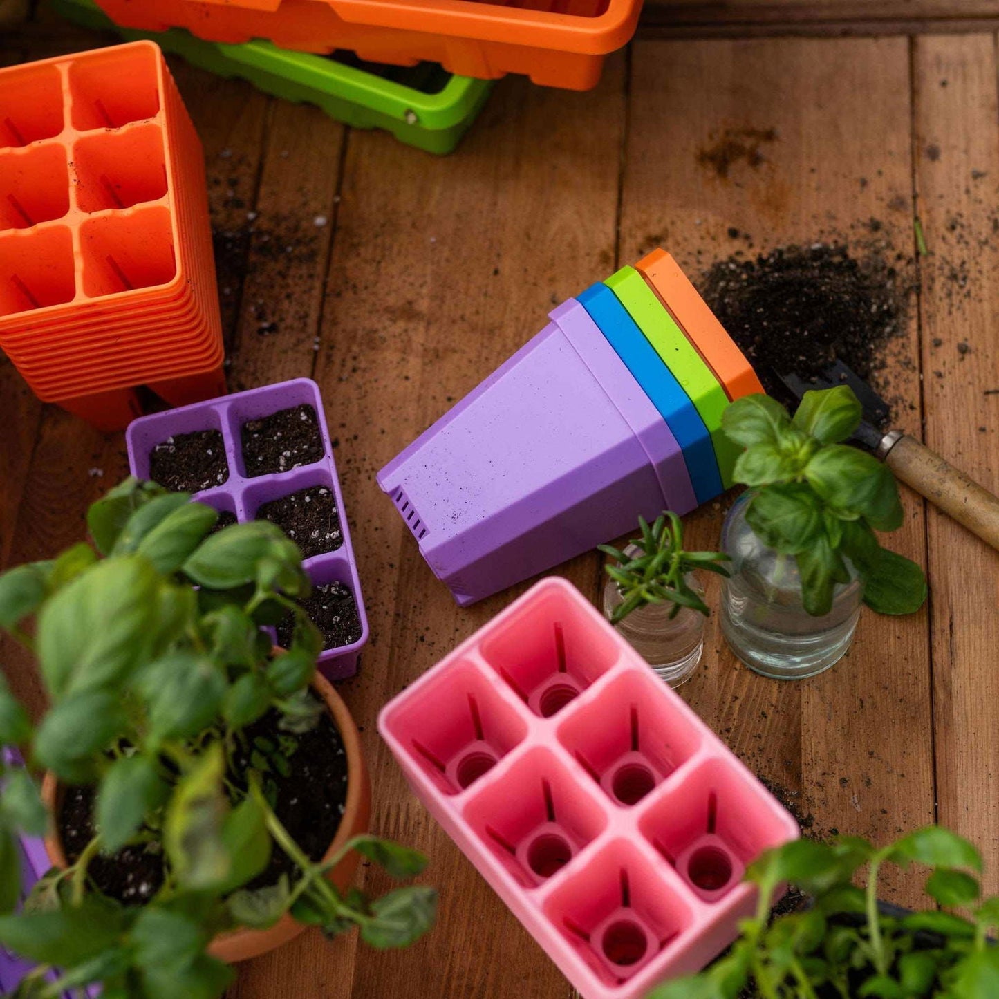 Colorful Bootstrap Farmer pots with humidity domes from the Ultimate Backyard Gardener Bundle, ideal for starting seedlings outdoors.