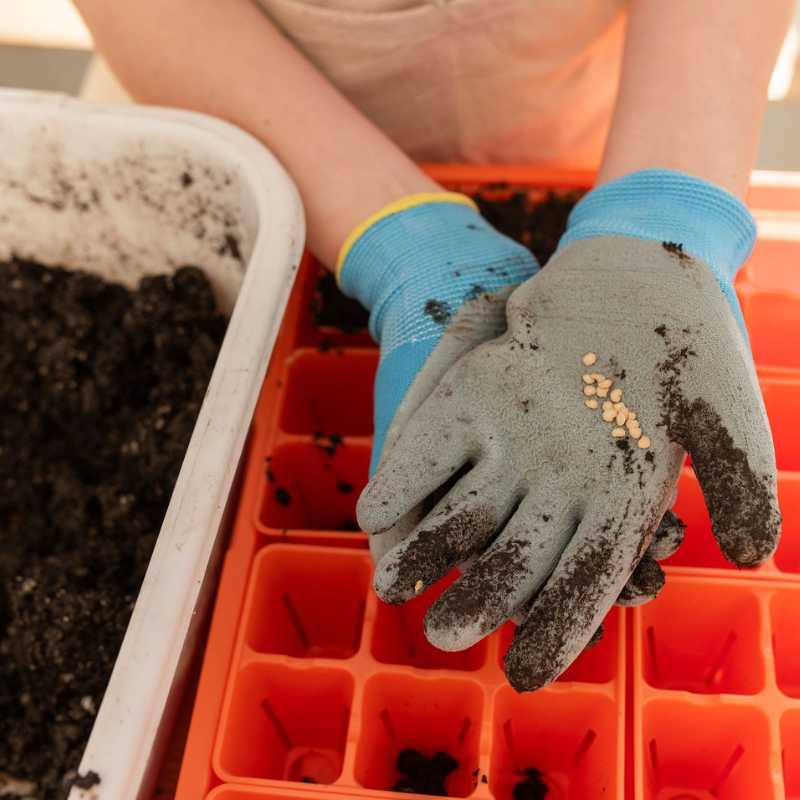 Bootstrap Farmer classroom seed starting bundle with seeding tools for easy planting and germination in educational gardening.