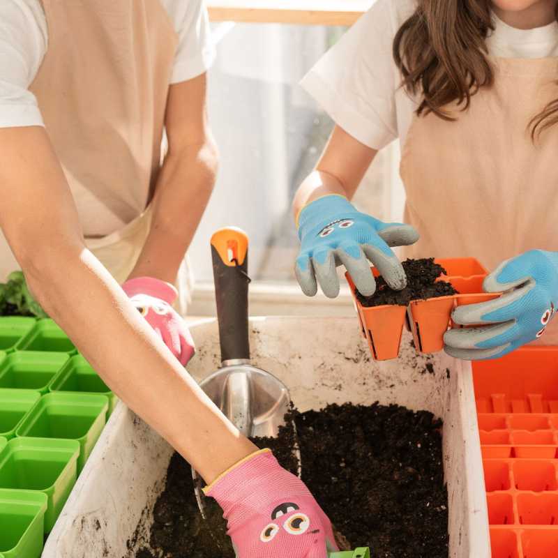 Bootstrap Farmer Classroom Seed Starting Bundle with seeding tools for efficient plant propagation and classroom gardening.