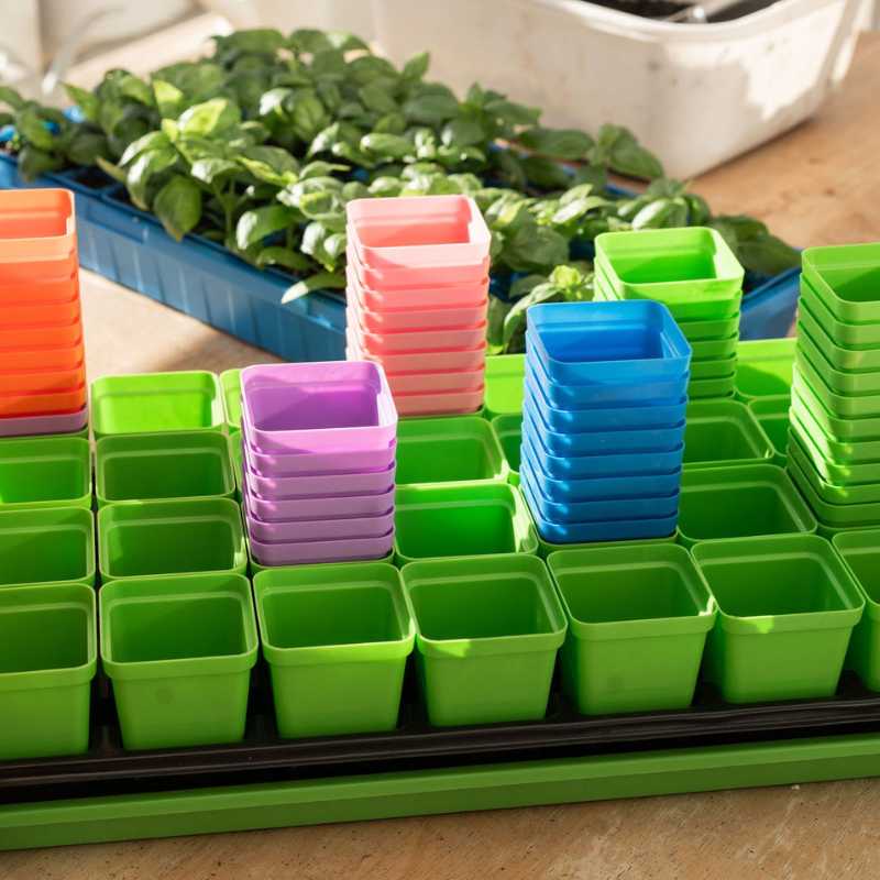 Bootstrap Farmer classroom seed starting bundle with seeding tools, including trays, labels, and planting accessories for effective gardening.