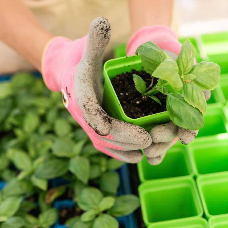 Bootstrap Farmer Classroom Seed Starting Bundle with seeding tools, including trays, labels, and watering accessories for gardening.