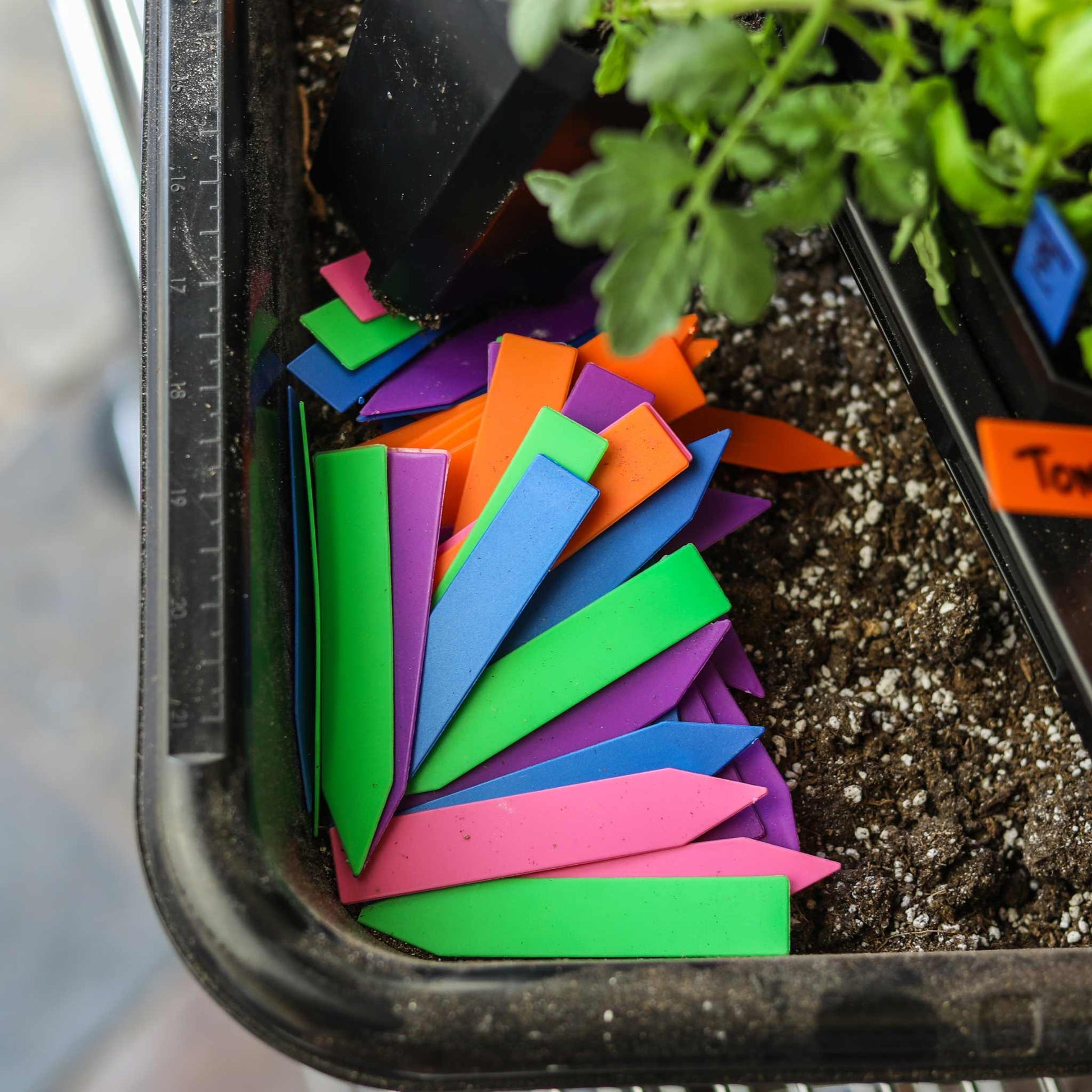 Set of 100 multi-color plant labels for seeding, made by Bootstrap Farmer, ideal for organizing and identifying garden plants.