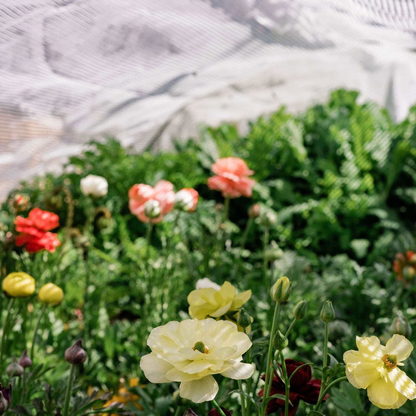 Aluminum white shade cloth by Bootstrap Farmer, 50% sun shade fabric for garden or outdoor shade solutions.