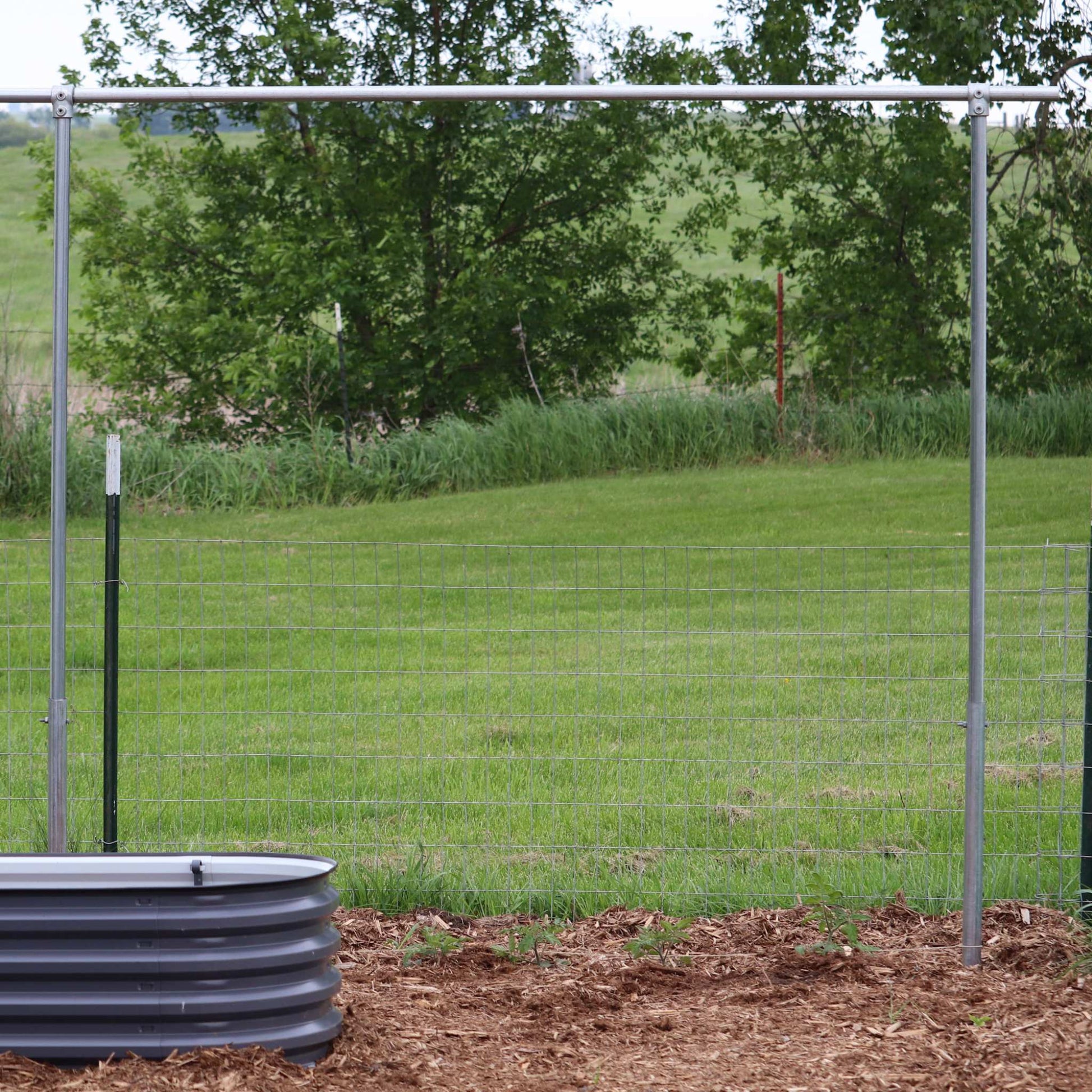 Heavy-duty DIY tomato trellis by Bootstrap Farmer, featuring 1 3/8-inch thick support for garden tomato plants.