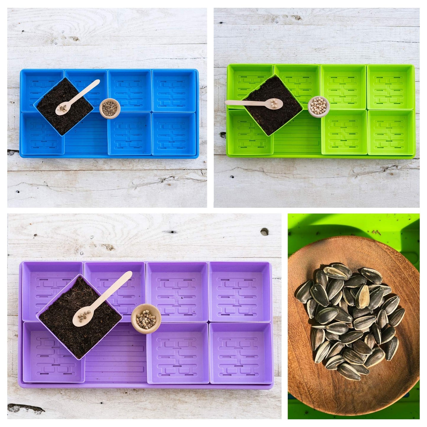 Bootstrap Farmer 5x5 Microgreens Kit with LED grow light for indoor gardening and fresh microgreens cultivation.