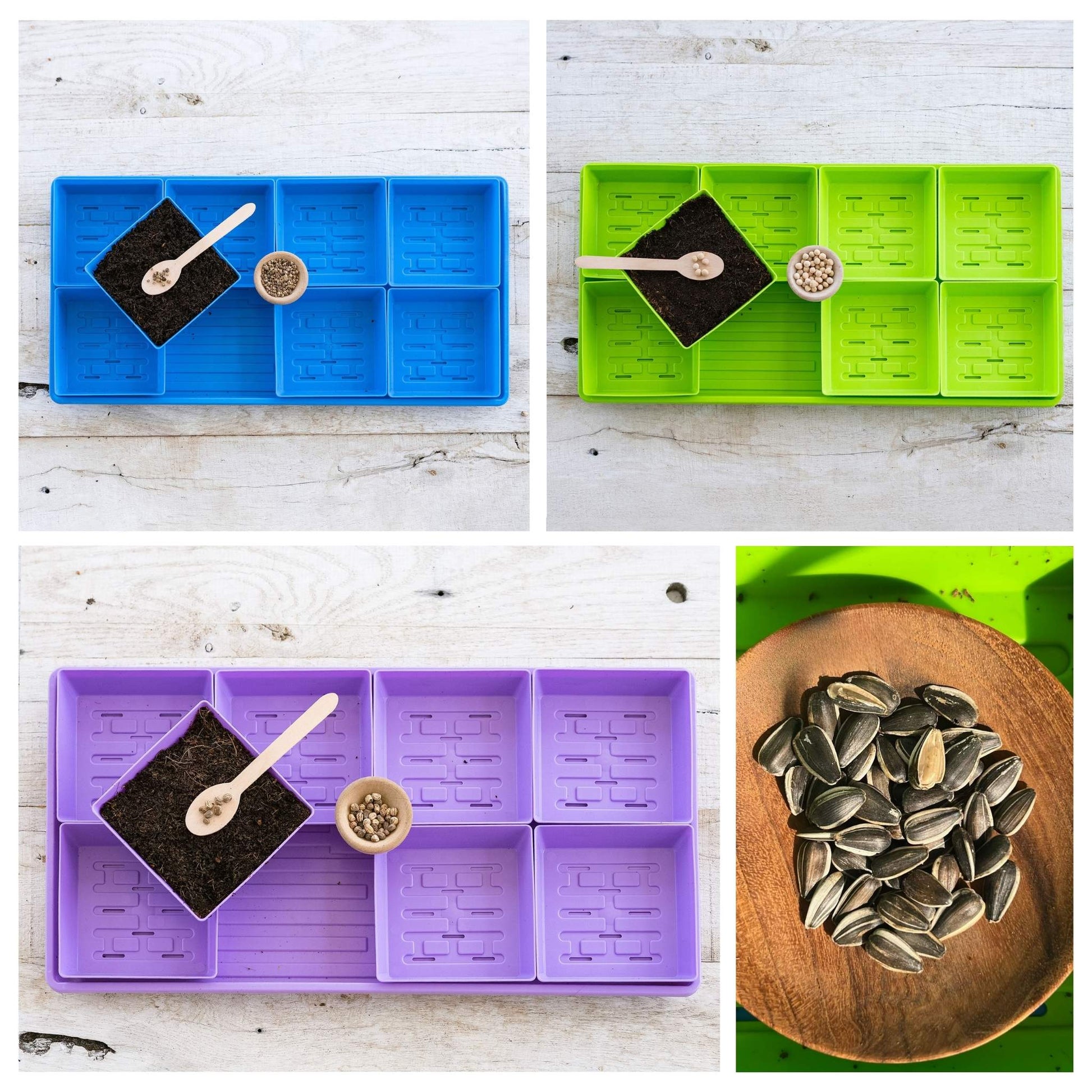 Bootstrap Farmer 5x5 Microgreens Kit with LED grow light for indoor gardening and fresh microgreens cultivation.