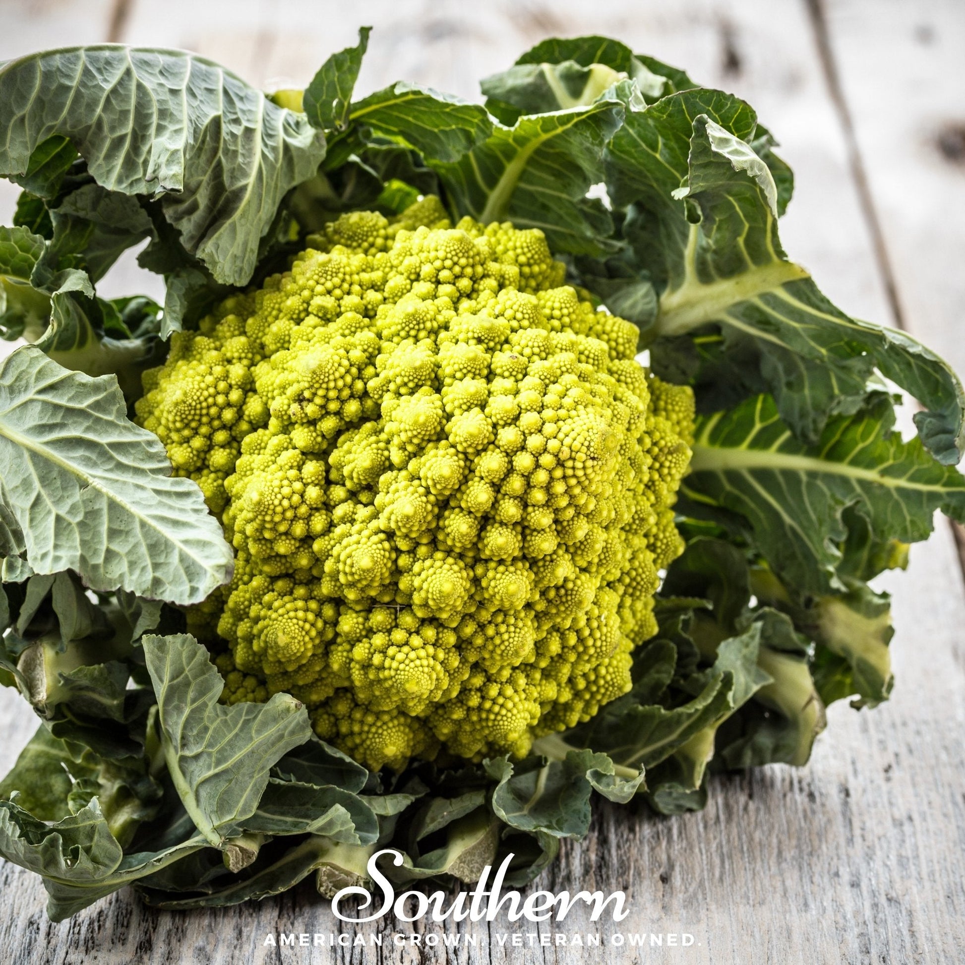 Romanesco broccoli seeds by Southern Seeds, showing vibrant green, spiral-shaped Romanesco broccoli florets and seed packaging.