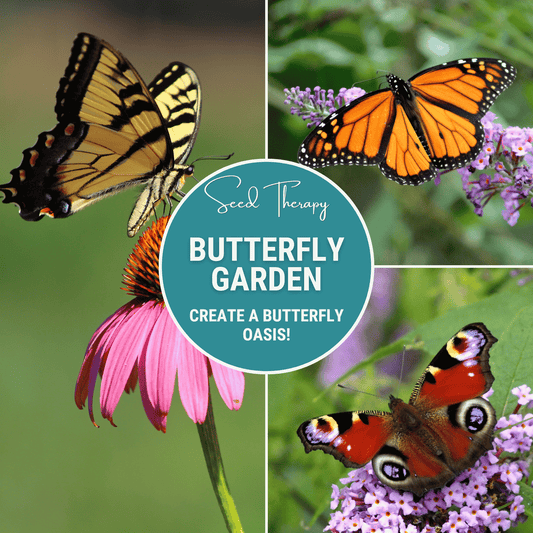 Butterfly Garden Seed Collection by Southern Seeds featuring 10 varieties of flower seed packets for attracting butterflies.