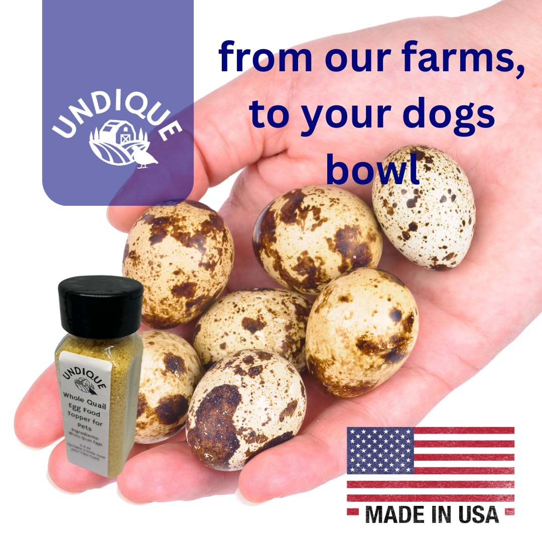 Quailicious Boost pet food enhancer with whole quail eggs for dogs, supports energy, immune health, shiny coat, and skin.