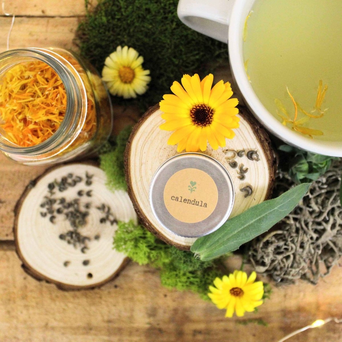 Calendula beginner grow kit with herb seeds from Plantflix, includes seed packets and planting supplies for home gardening.
