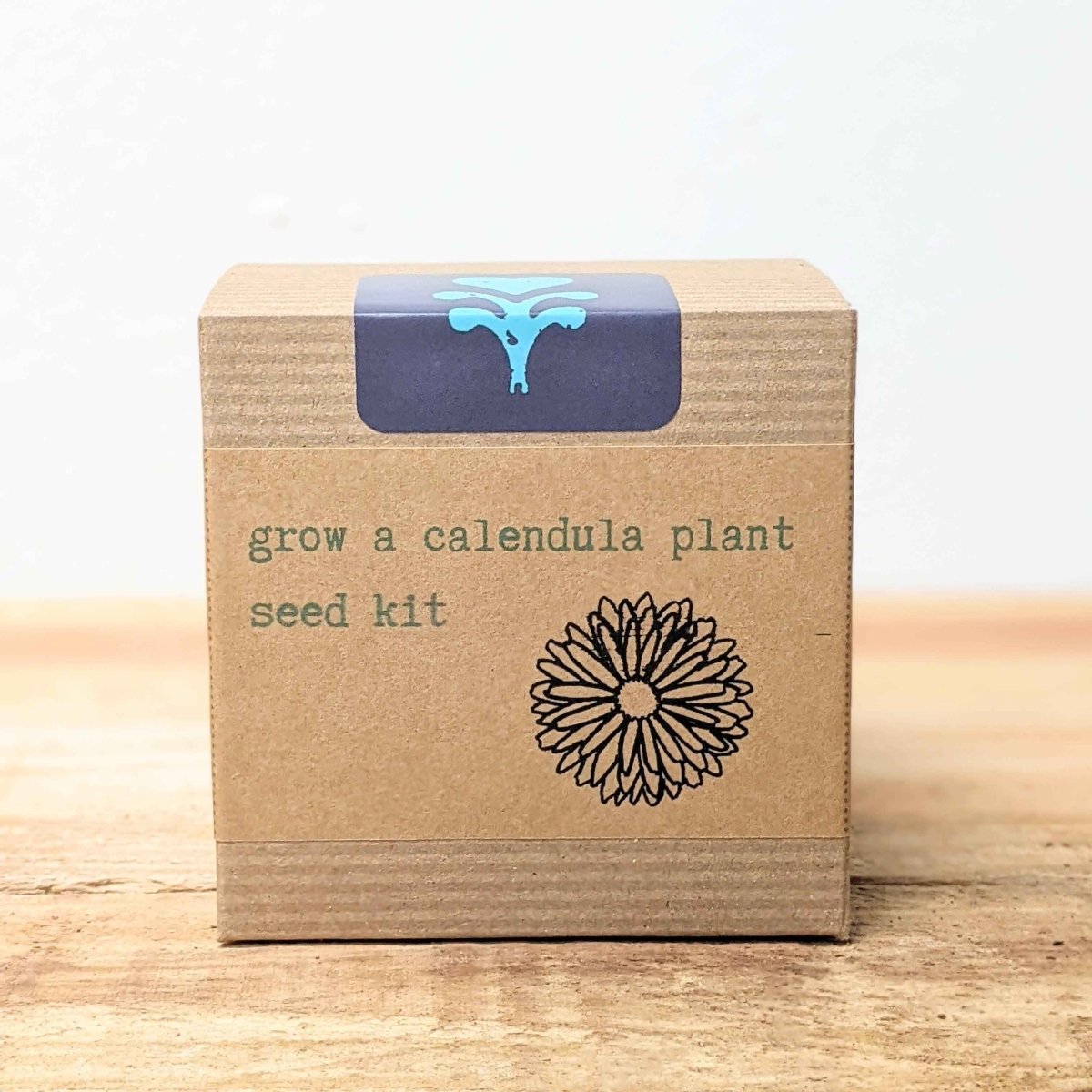 Calendula beginner grow kit with herb seeds from Plantflix, including seed packets and planting supplies for easy gardening.