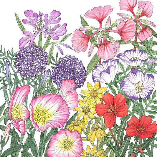 Grow Organic California native wildflower seed mix in a pound bag, showcasing a variety of colorful native flowers for planting