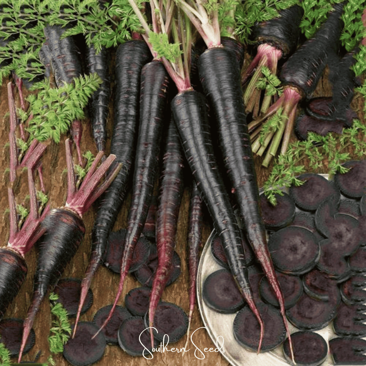 Black Nebula carrot seeds from Southern Seeds, showing vibrant dark purple and orange carrot roots ready for planting.