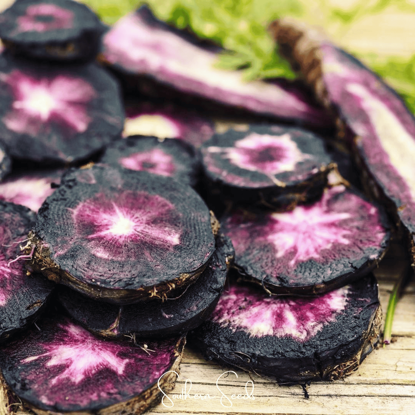 Black Nebula carrot seeds from Southern Seeds, 250 seeds of dark purple, heirloom carrot variety, ready for planting in gardens.