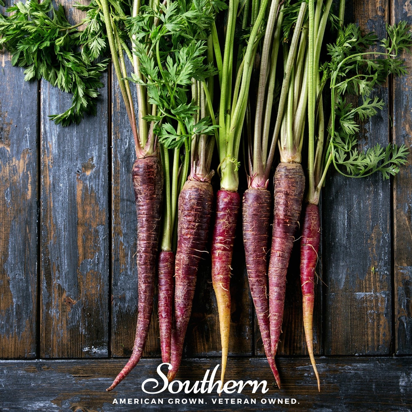 Cosmic Purple Carrot seeds from Southern Seeds, 250 seeds, vibrant purple root and green leafy tops, ideal for home gardening.