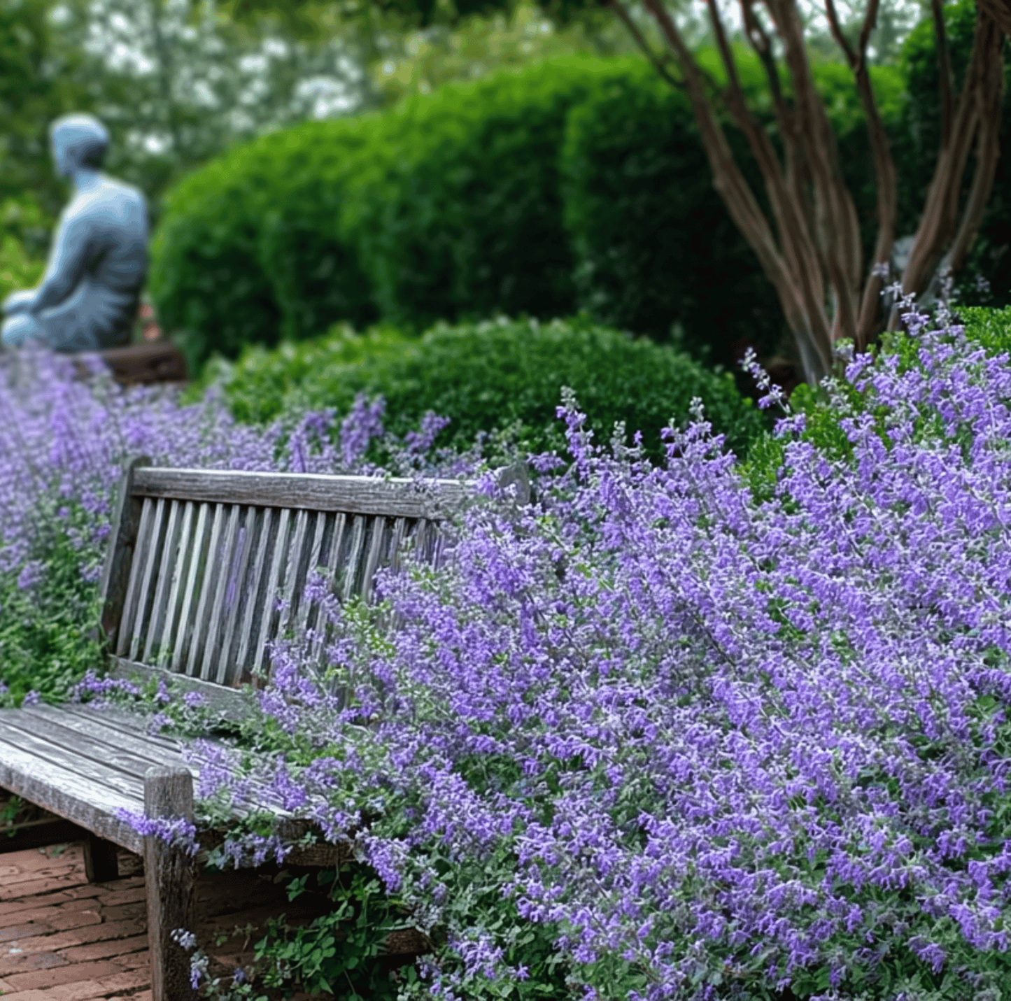 Packet of 100 Southern Seeds Catmint seeds, small green seed packet with plant illustration, ideal for gardening and herb cultivation.