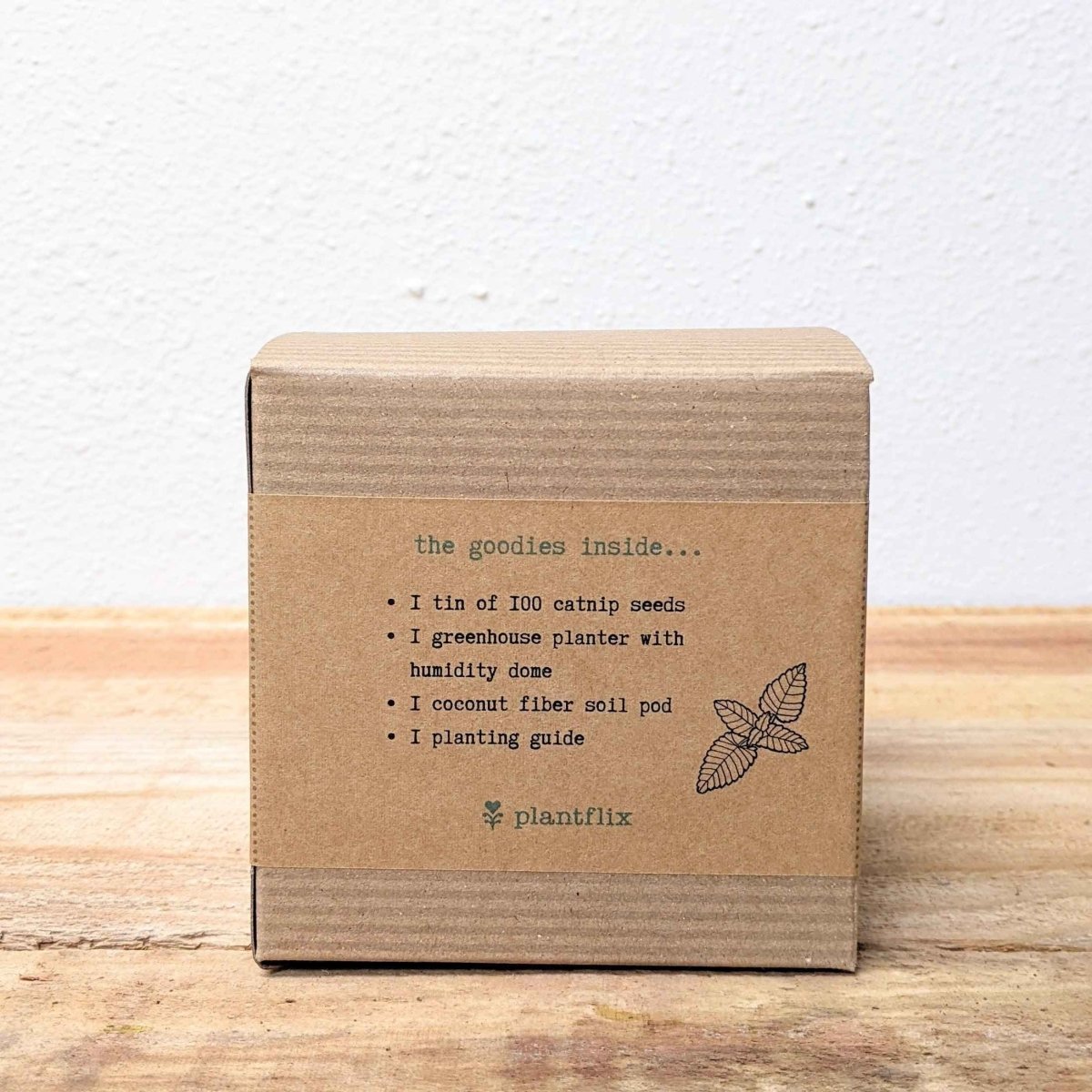 Catnip beginner grow kit with herb seeds from Plantflix, featuring a planting container and seed packets for easy catnip cultivation.