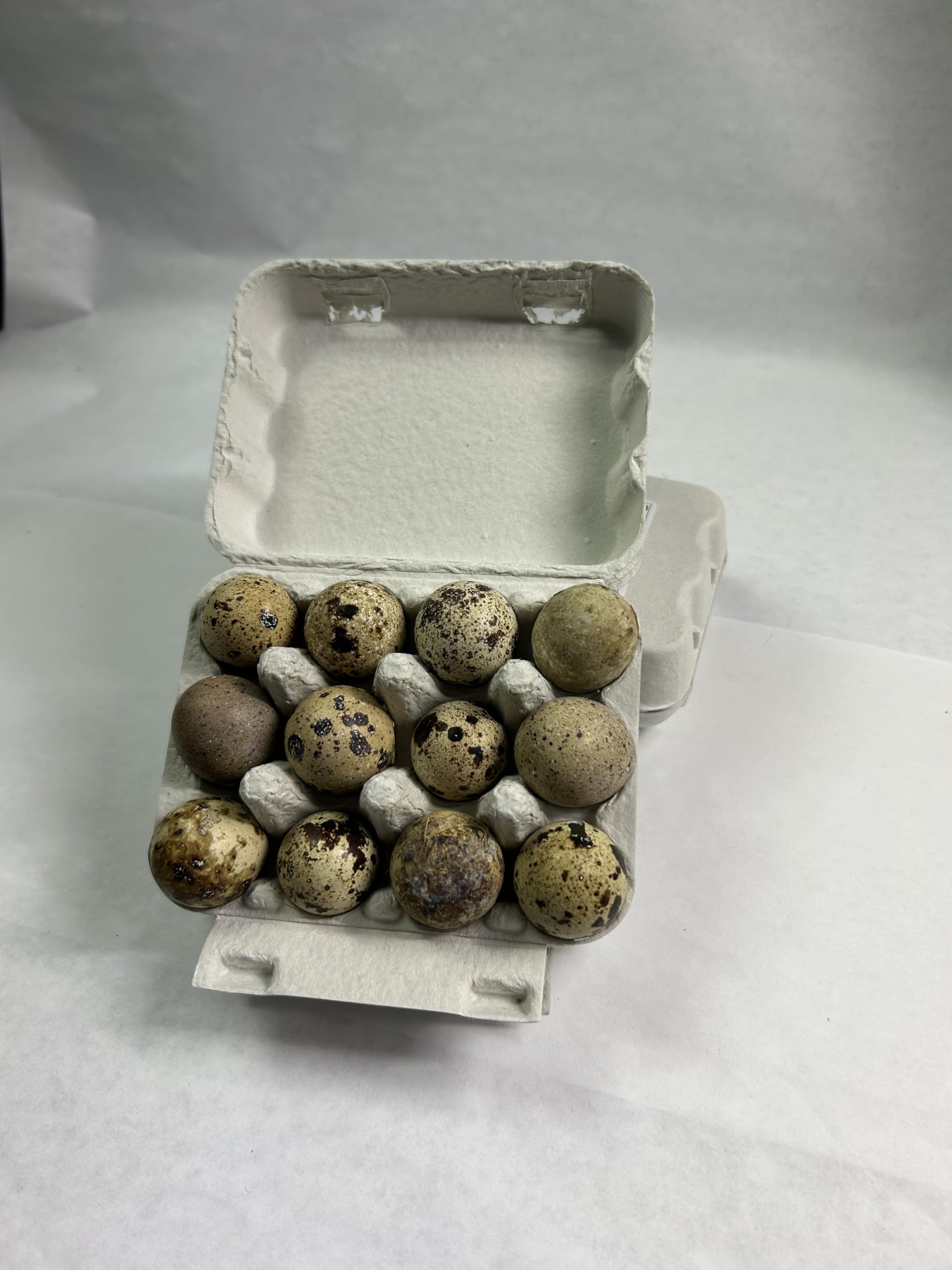 Fresh quail eggs from the US, small and speckled, laid by Quailz.com by Undique LLC, displayed in a natural setting.