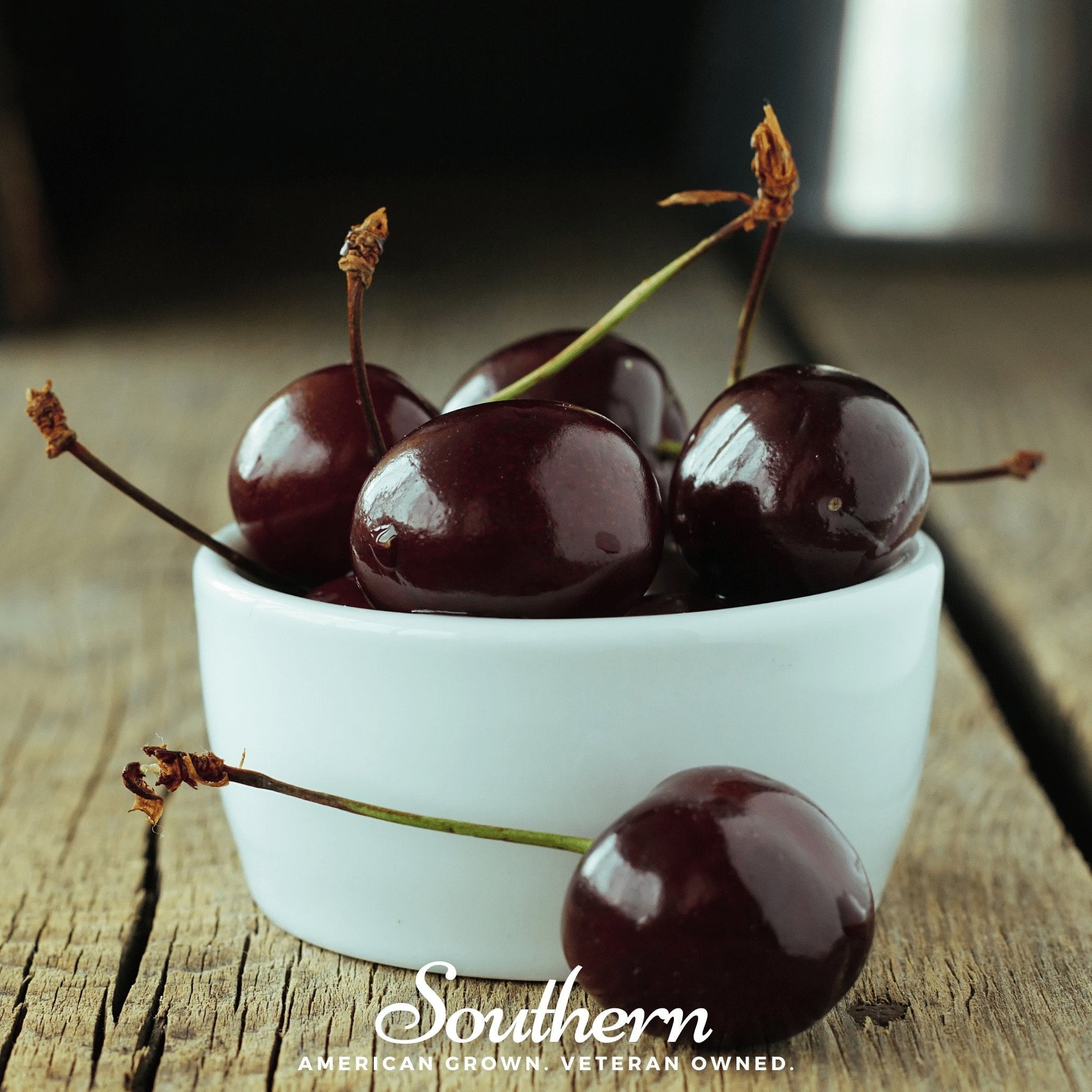 Black Cherry tree seeds from Southern Seeds, showing 15 black cherry Prunus serotina seeds on a neutral background.