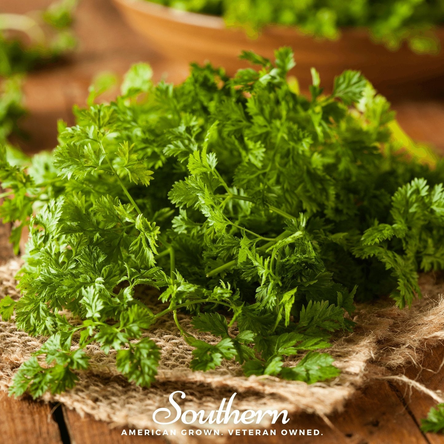 Curled chervil herb seeds from Southern Seeds, showing vibrant green seeds ready for planting and culinary use.
