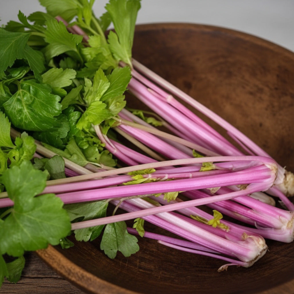 Chinese Pink Celery (Apium graveolens) Live Plants – Perennial Vegetable, Hardy to Zone 4