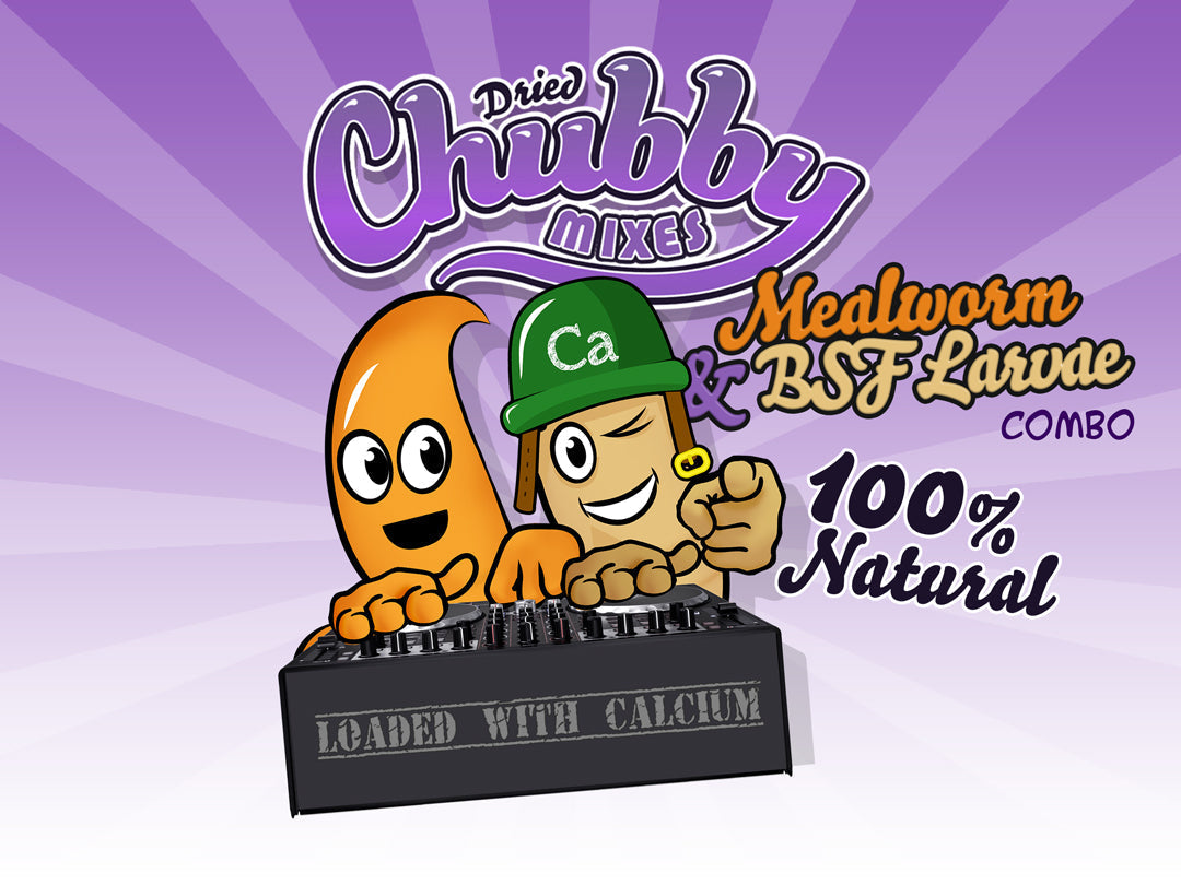 10lb Chubby Mix from Chubby Mealworms USA featuring mealworms and black soldier fly larvae in a clear bag.