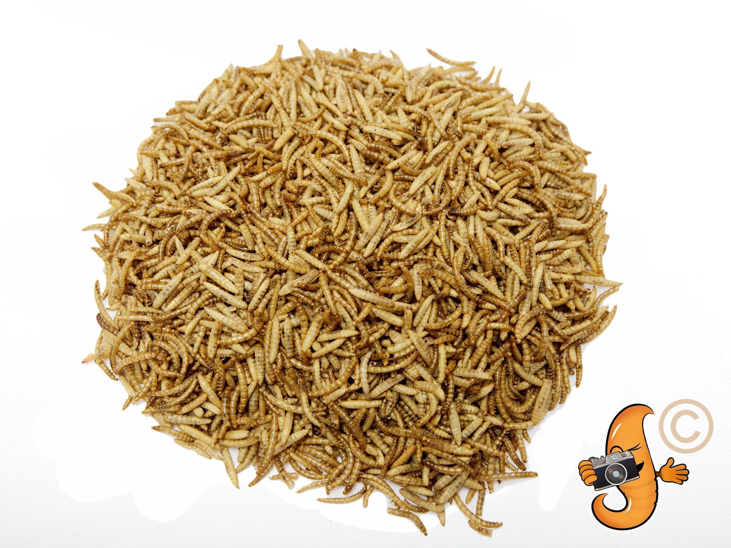 Chubby Mix by Chubby Mealworms USA, 4lb combo of mealworms and black soldier fly larvae in a resealable bag.