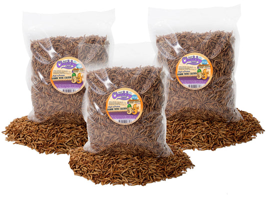 Chubby Mix by Chubby Mealworms USA, a 6lb combo of mealworms and black soldier fly larvae in a clear bag.