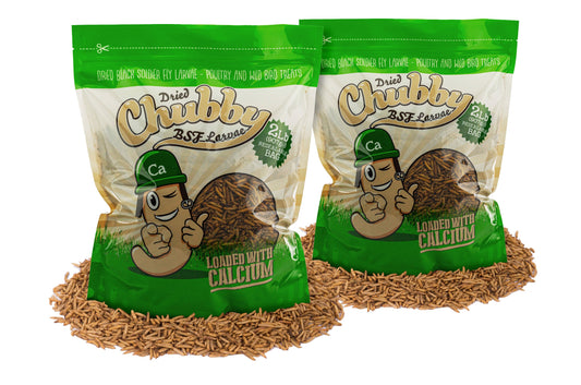Dried Black Soldier Fly Larvae in a 4lb bag by Chubby Mealworms USA, showcasing small, dried black insect larvae