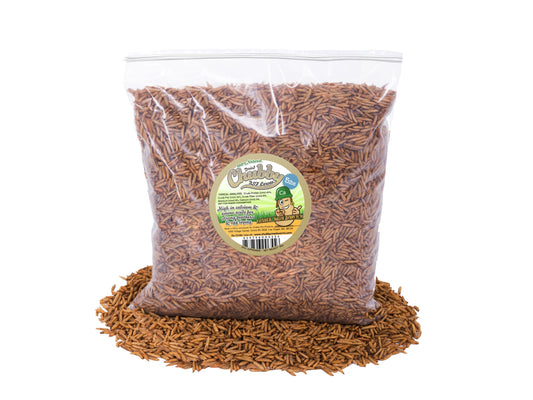 Dried 5lb Chubby Black Soldier Fly Larvae from Chubby Mealworms USA, shown in a clear image of the black larvae in a container.