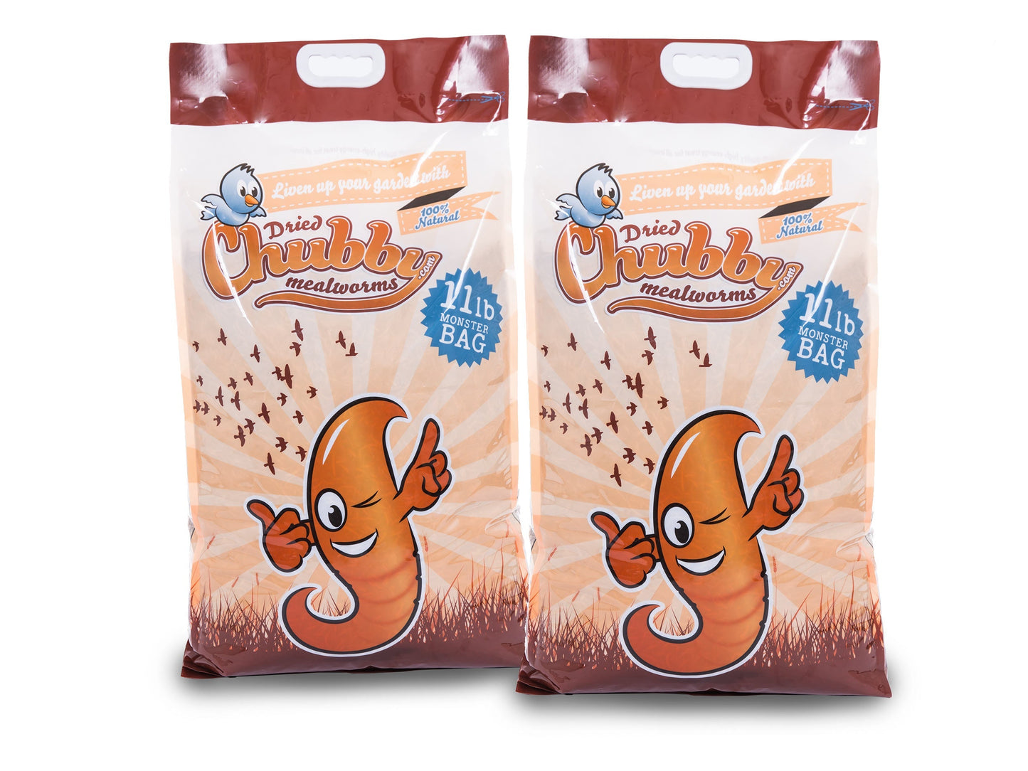 Chubby Mealworms USA 22lbs dried mealworms in a bag, suitable for bird and reptile feed, showing small, dried mealworms inside.