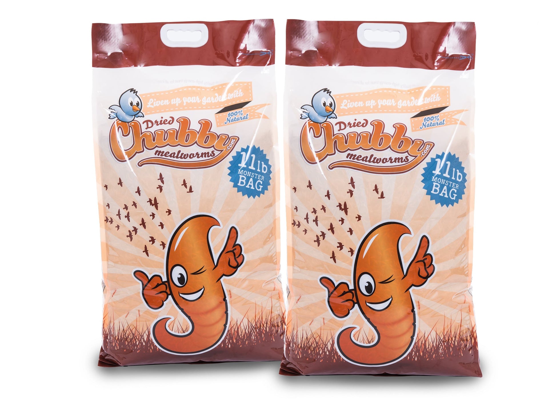 Chubby Mealworms USA 22lbs dried mealworms in a bag, suitable for bird and reptile feed, showing small, dried mealworms inside.