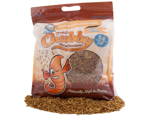 Chubby Mealworms USA 5Lbs dried mealworms in a clear bag, showing small, brown dried mealworms suitable for bird and pet feed.
